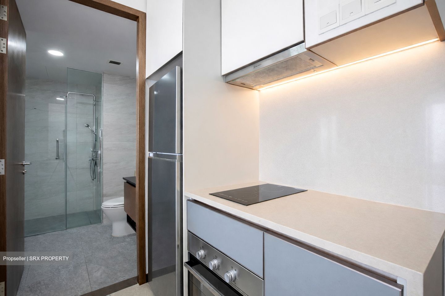 Normanton Park (D5), Apartment #549121011